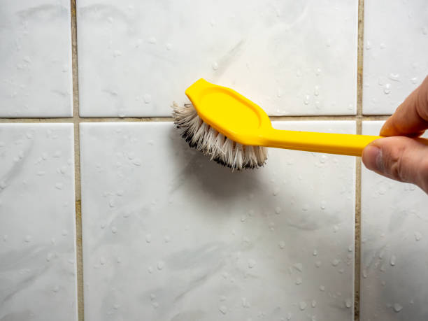 Best Residential Mold Remediation in Lynnville, IN